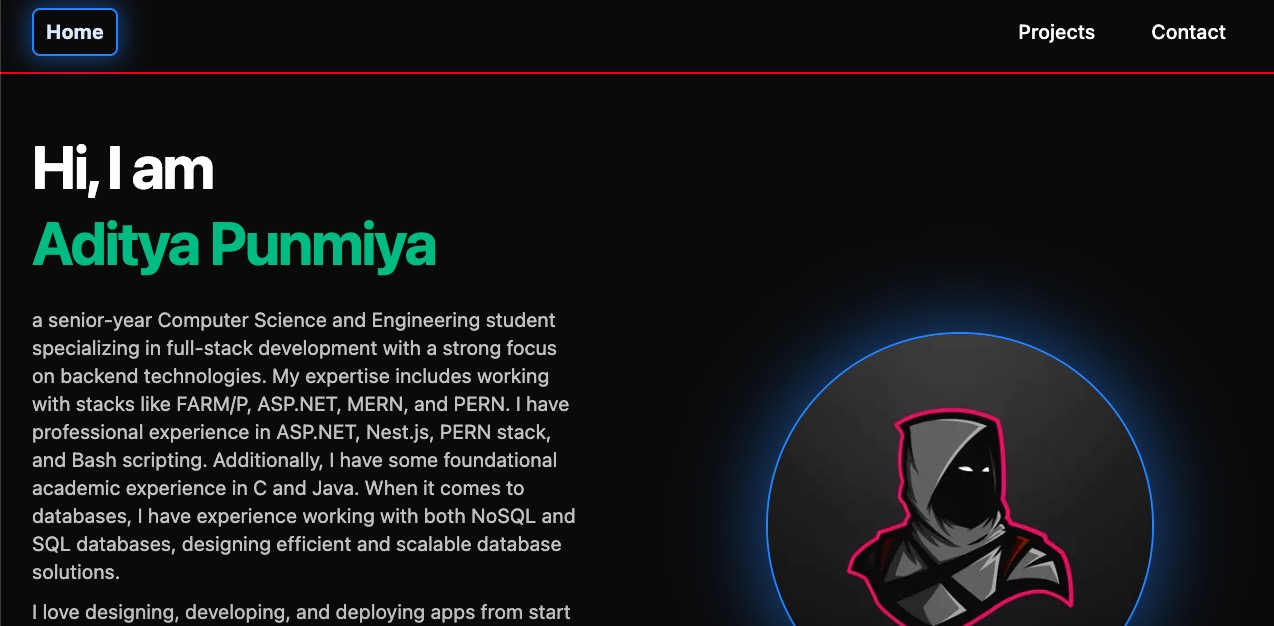 Aditya Punmiya Portfolio screenshot